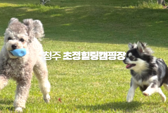 청주 초정힐링캠핑장